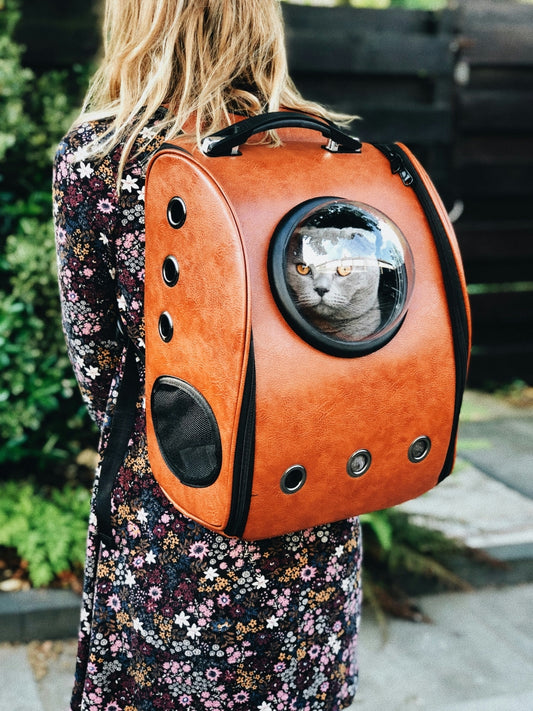 Airline Approved Bubble Backpack Cat Carrier