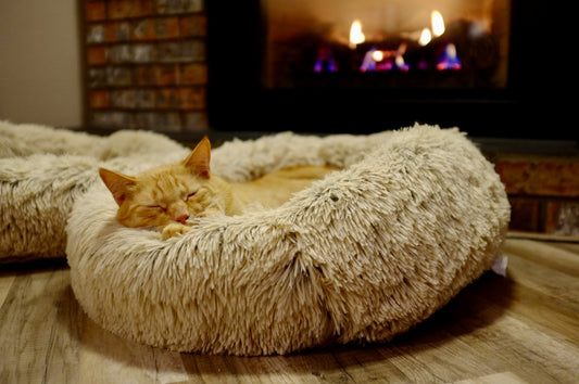 Cat Bed, furry, small