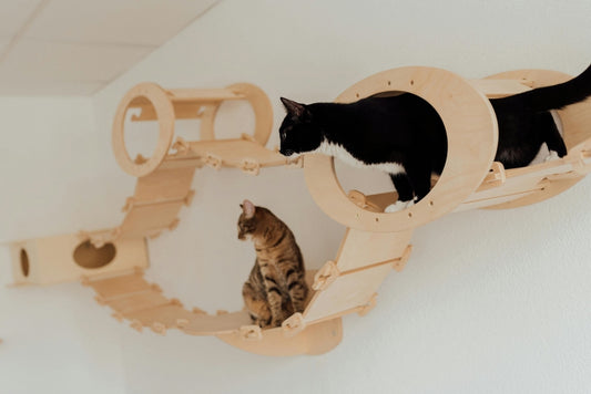 Cat Suspended Wooden Wall Climber