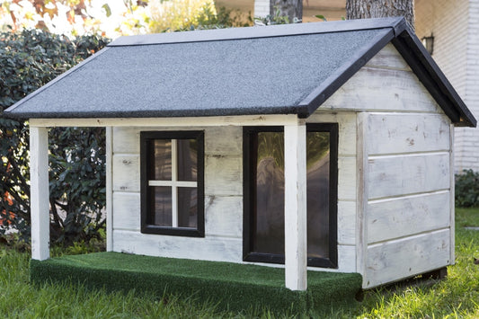Custom Dog House