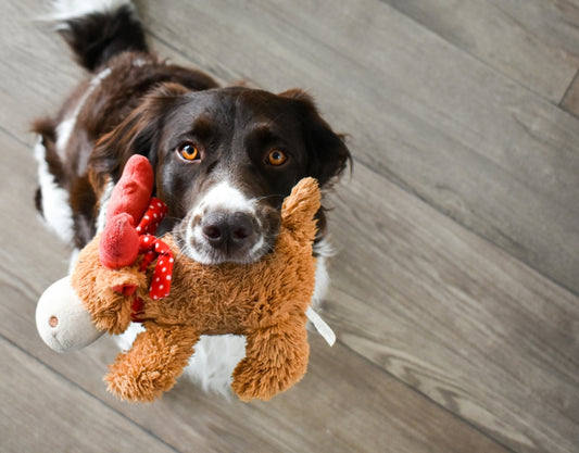 Dog Chew Toy - reindeer